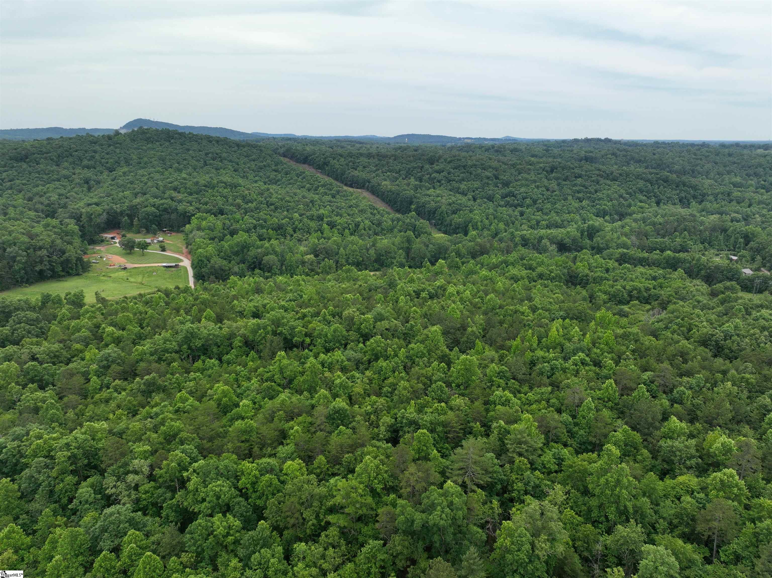 501 Midway Road Pickens, SC 29671 - Photo 8 of 17