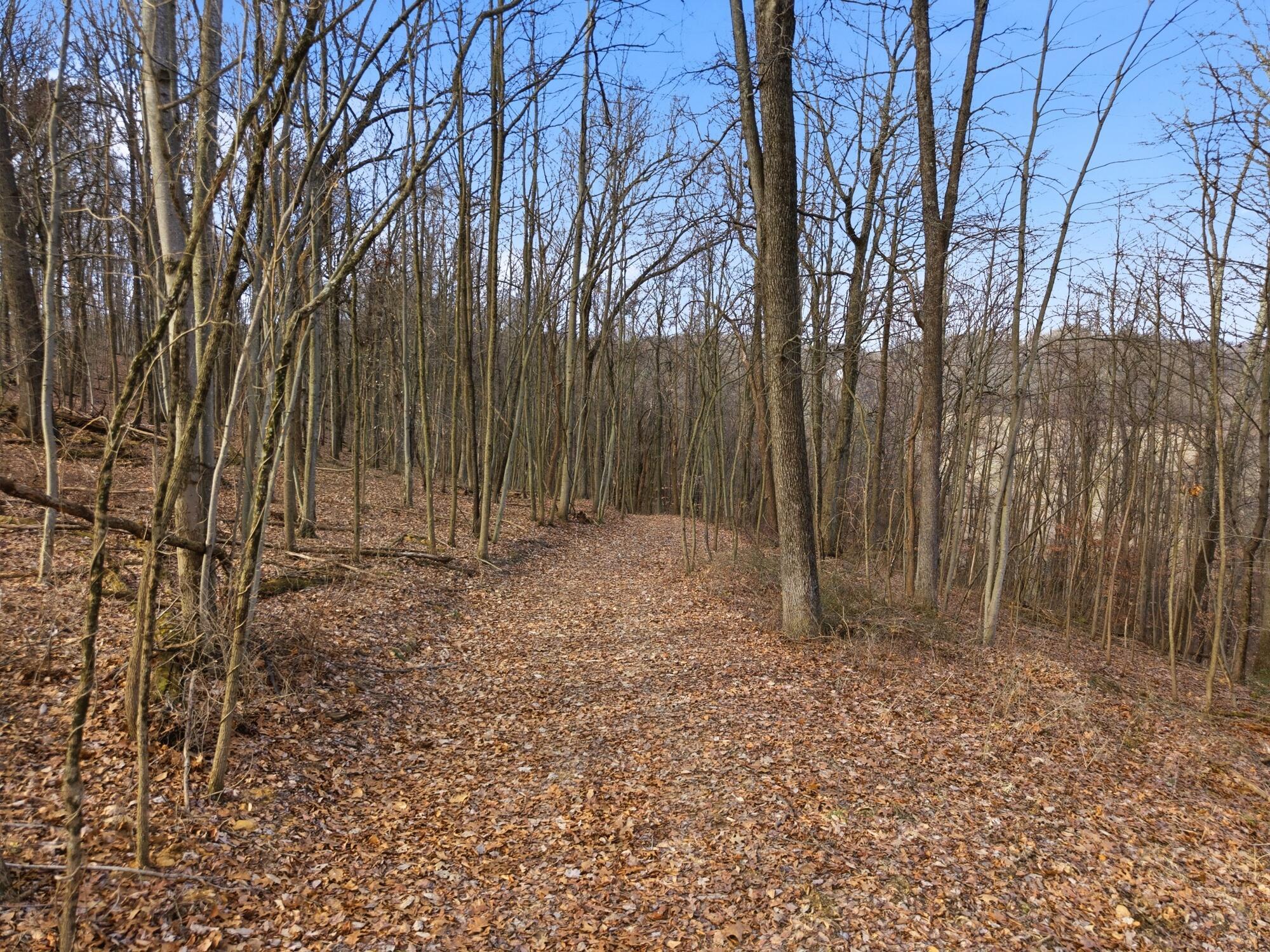 0 BIS Road Southwest Lancaster, OH 43130 - Photo 28 of 34 28_kds_media_027