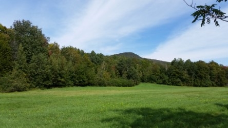 Tbd Back Road Belvidere Center, VT 05442 - Photo 21 of 22