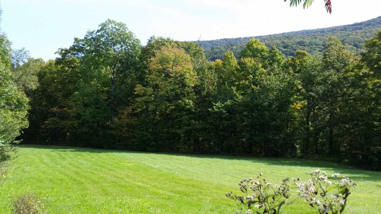 Tbd Back Road Belvidere Center, VT 05442 - Photo 4 of 22