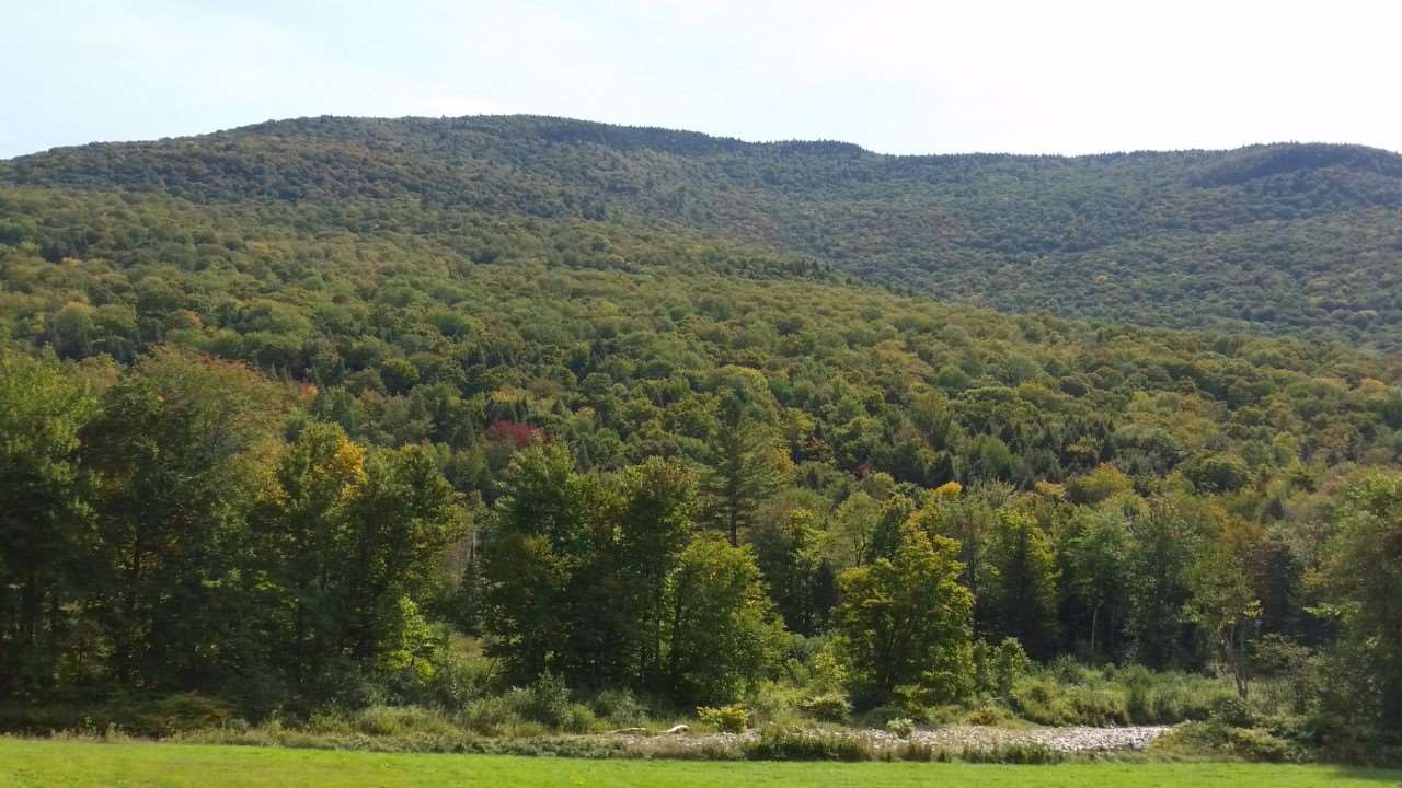 Tbd Back Road Belvidere Center, VT 05442 - Photo 6 of 22