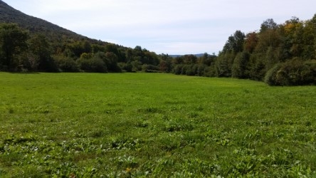 Tbd Back Road Belvidere Center, VT 05442 - Photo 8 of 22