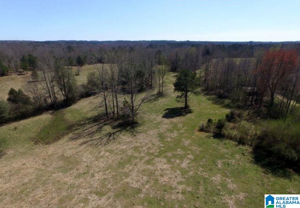 853 Bailey Road Cragford, AL 36255 - Photo 32 of 39