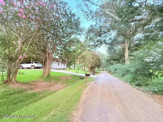 25 Wes Dillon Road Tylertown, MS 39667 - Photo 17 of 45 IMG_5222