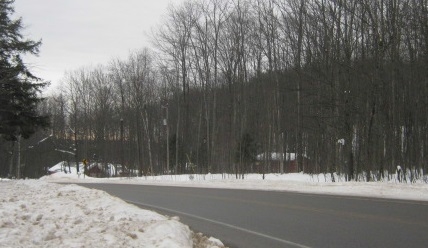 8450 West County Road Frederic, MI 49733 - Photo 3 of 12 1811359-2.JPG