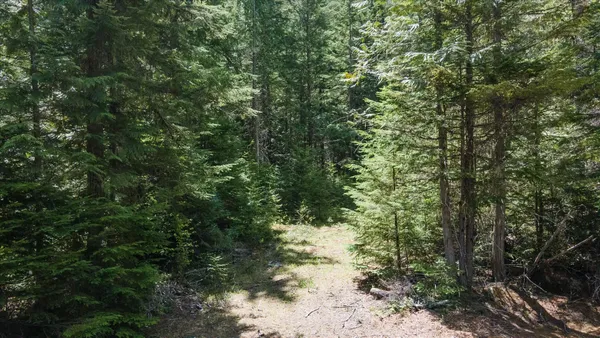 $354,000 | 671 Osprey Drive, Cusick, WA 99119