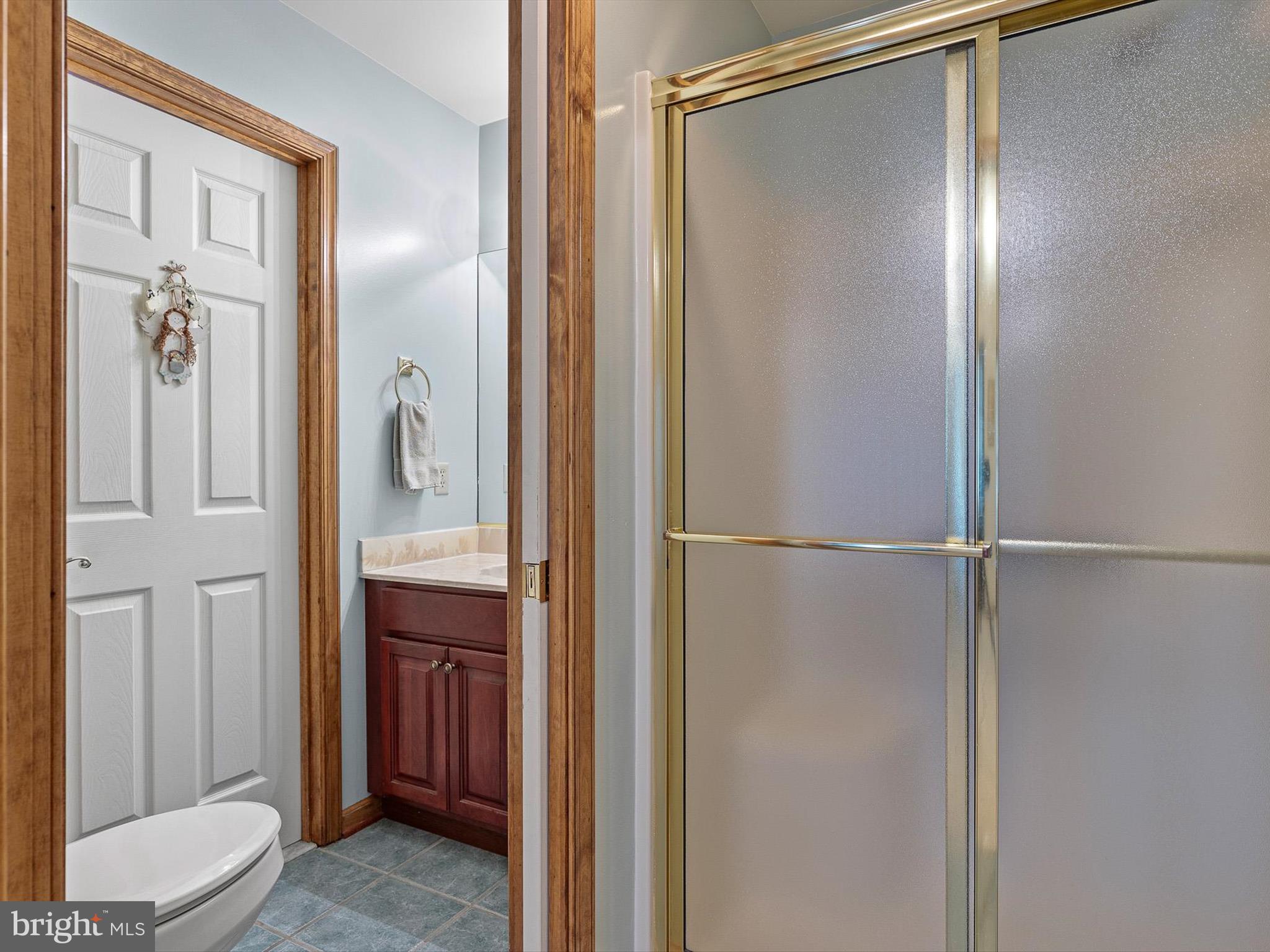 616 Bethany Loop Bethany Beach, DE 19930 - Photo 19 of 57 Main level guest bath