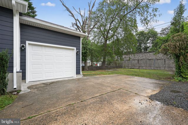 a view of a backyard with a large tree