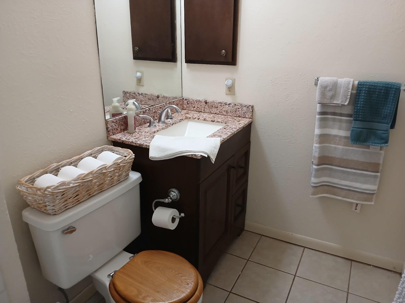 12905 Pegasus Street Austin, TX 78727 - Photo 23 of 32 a bathroom with a granite countertop sink and a mirror