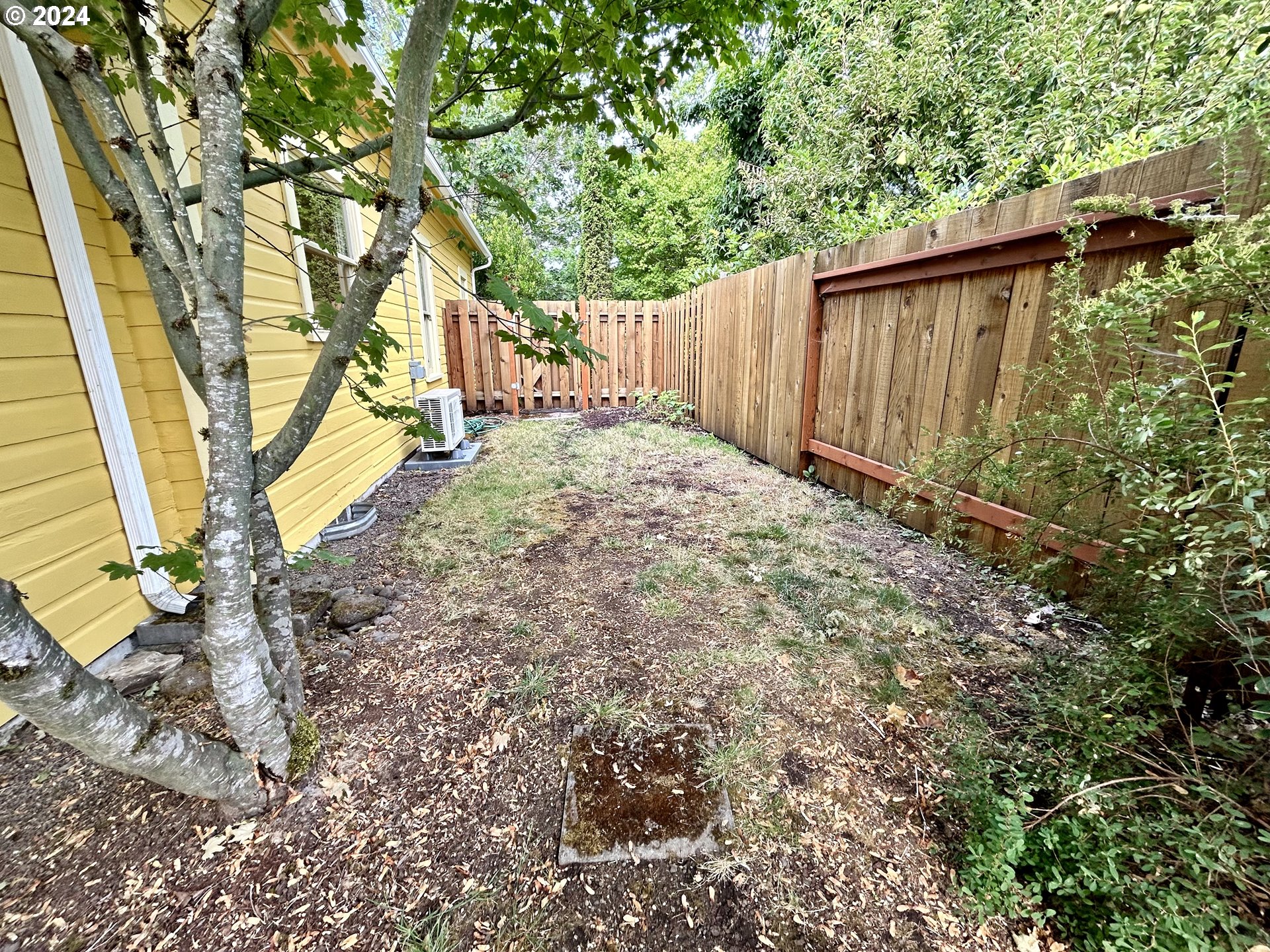 329 5th Street Springfield, OR 97477 - Photo 31 of 35 a view of backyard with tree