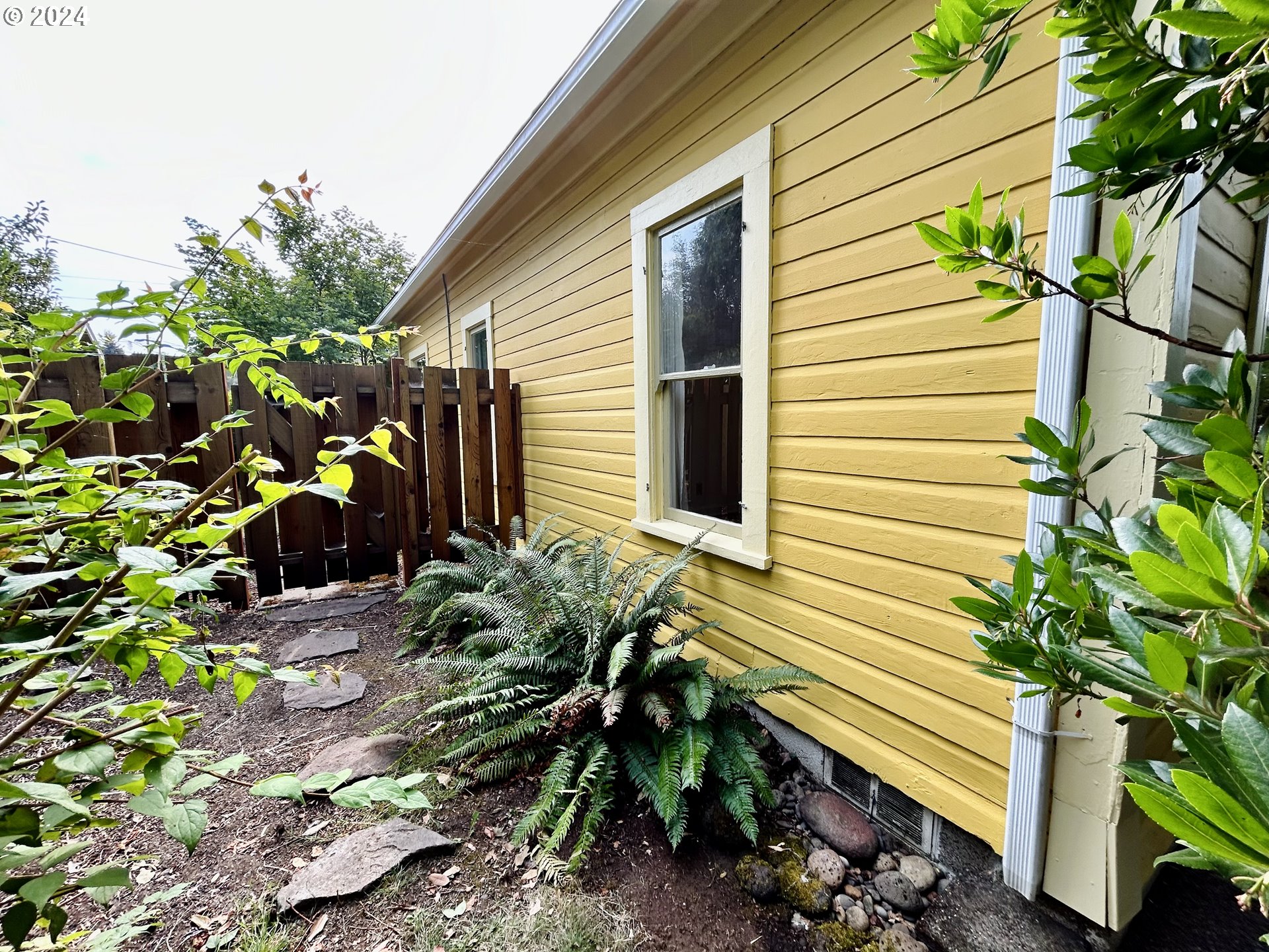 329 5th Street Springfield, OR 97477 - Photo 32 of 35 a plant that is sitting in front of a house
