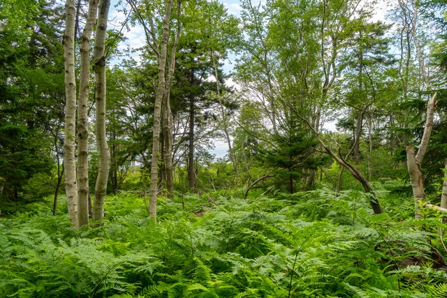 $425,000 | 24 Edwards Street, Portland, ME 04108