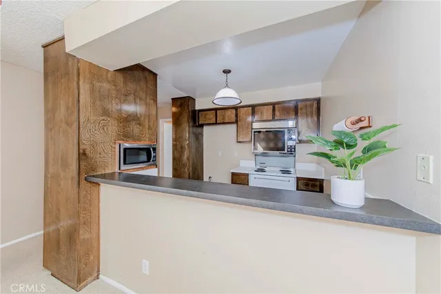 a kitchen with stainless steel appliances a sink and a potted plant