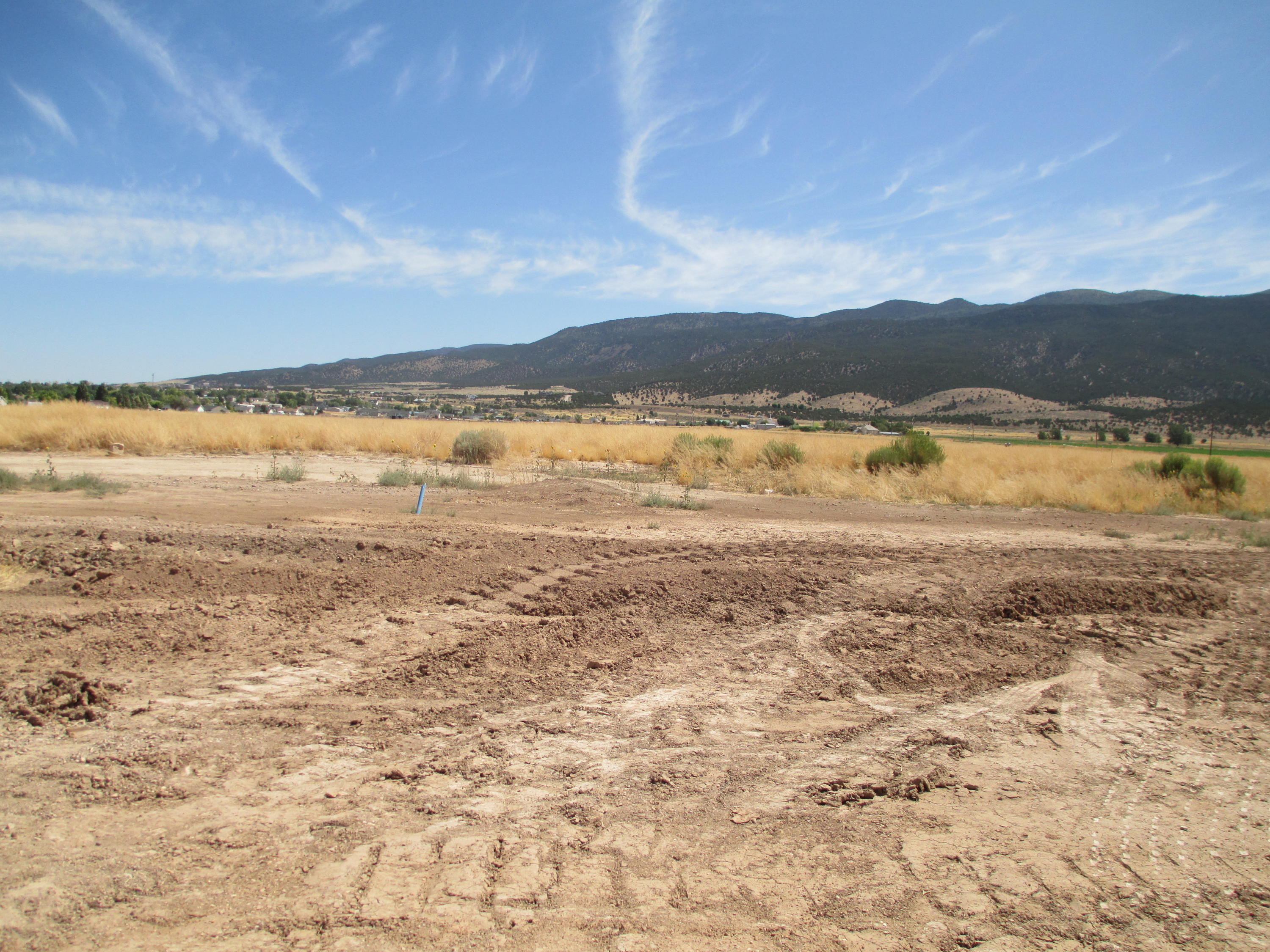 Lot View