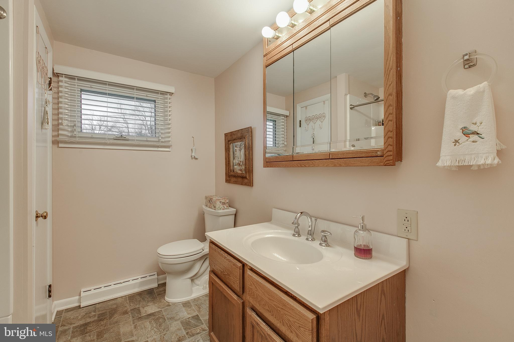20735 El Rancho Road Boonsboro, MD 21713 - Photo 15 of 37 Bathroom