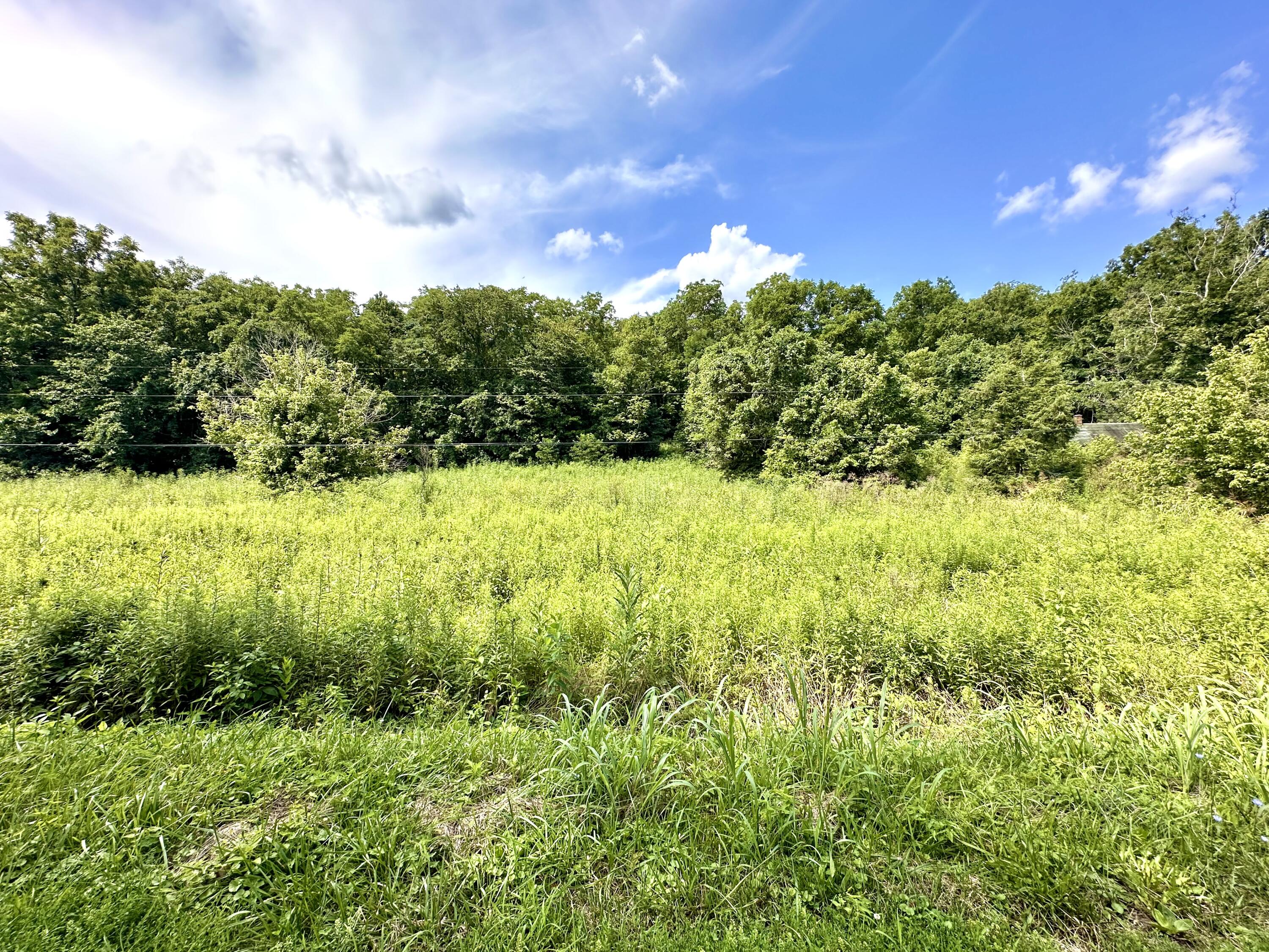 839 Saltwell Road Carlisle, KY 40311 - Photo 6 of 20 IMG_2126