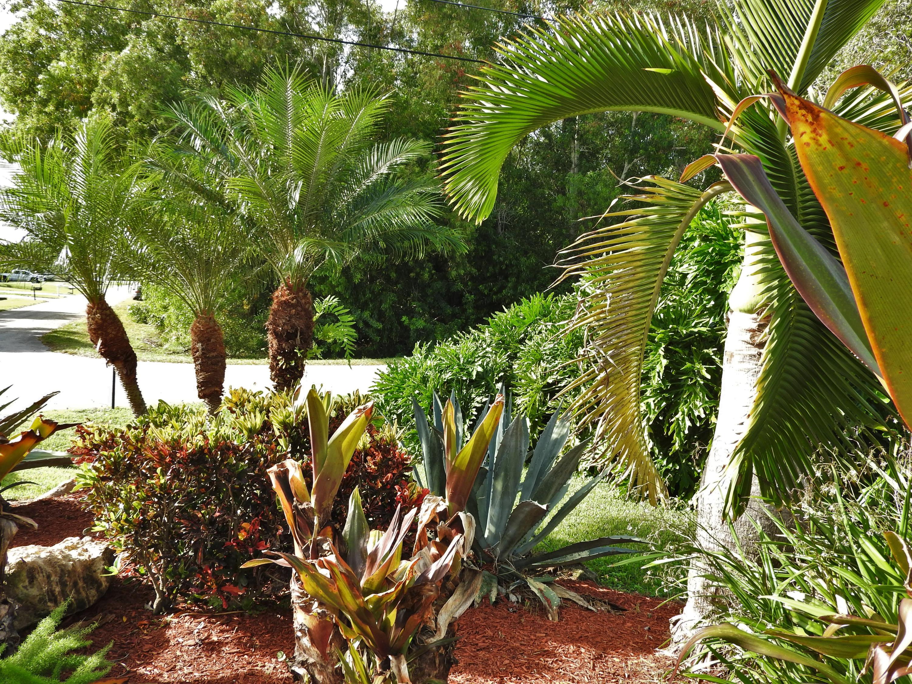 4762 Northwest Ever Road Port St. Lucie, FL 34983 - Photo 45 of 47 DSCN8867