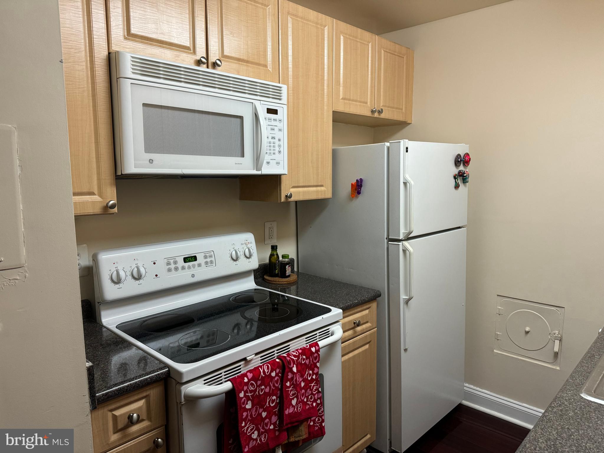 1009 Chillum Road, Unit 210 Hyattsville, MD 20782 - Photo 11 of 24