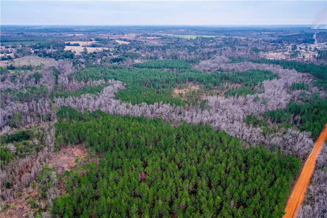 0 Salem Road Mineral Bluff, GA 30559 - Photo 11 of 19