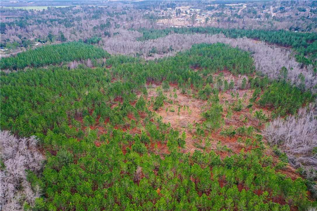 0 Salem Road Mineral Bluff, GA 30559 - Photo 12 of 19