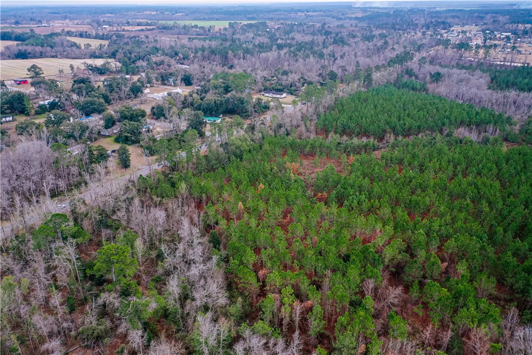 0 Salem Road Mineral Bluff, GA 30559 - Photo 13 of 19