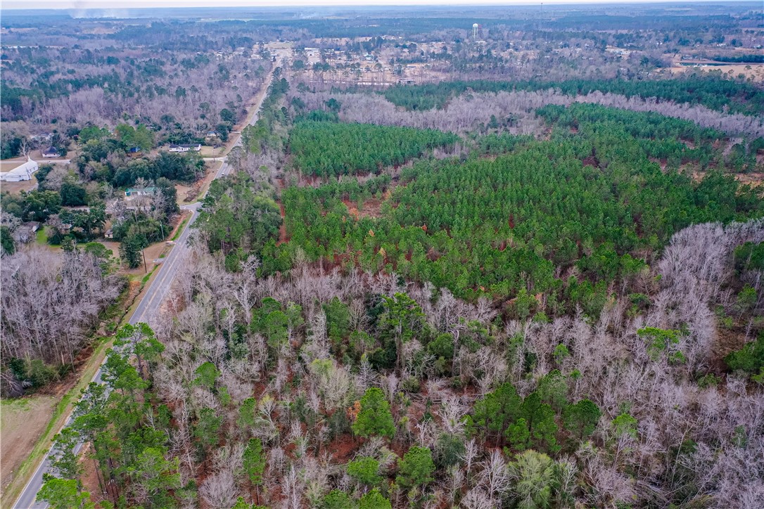 0 Salem Road Mineral Bluff, GA 30559 - Photo 14 of 19