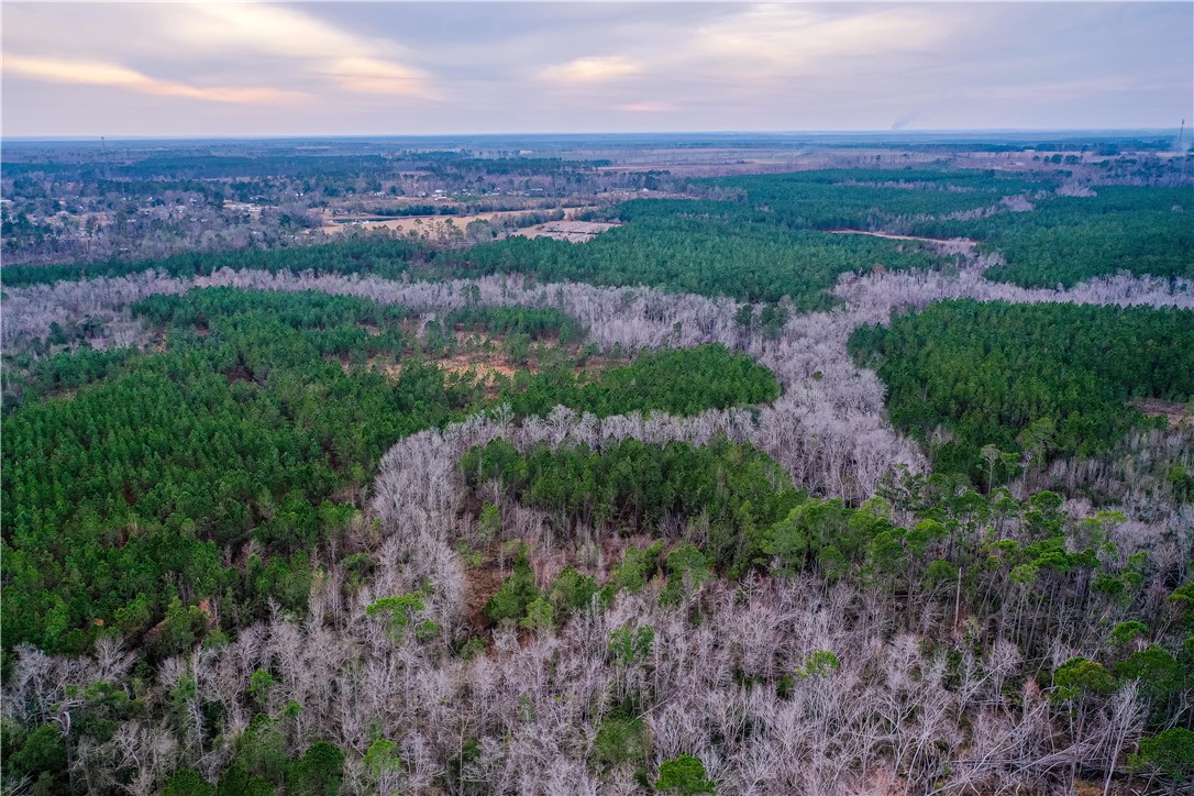 0 Salem Road Mineral Bluff, GA 30559 - Photo 15 of 19