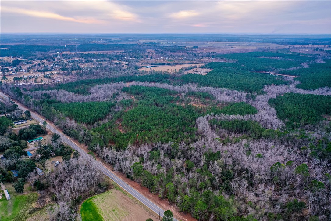 0 Salem Road Mineral Bluff, GA 30559 - Photo 17 of 19