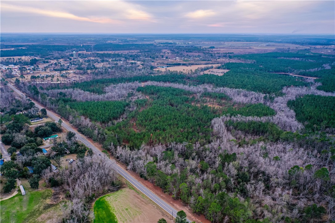 0 Salem Road Mineral Bluff, GA 30559 - Photo 18 of 19