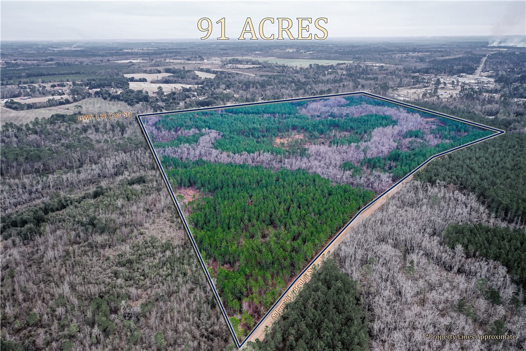 0 Salem Road Mineral Bluff, GA 30559 - Photo 2 of 19