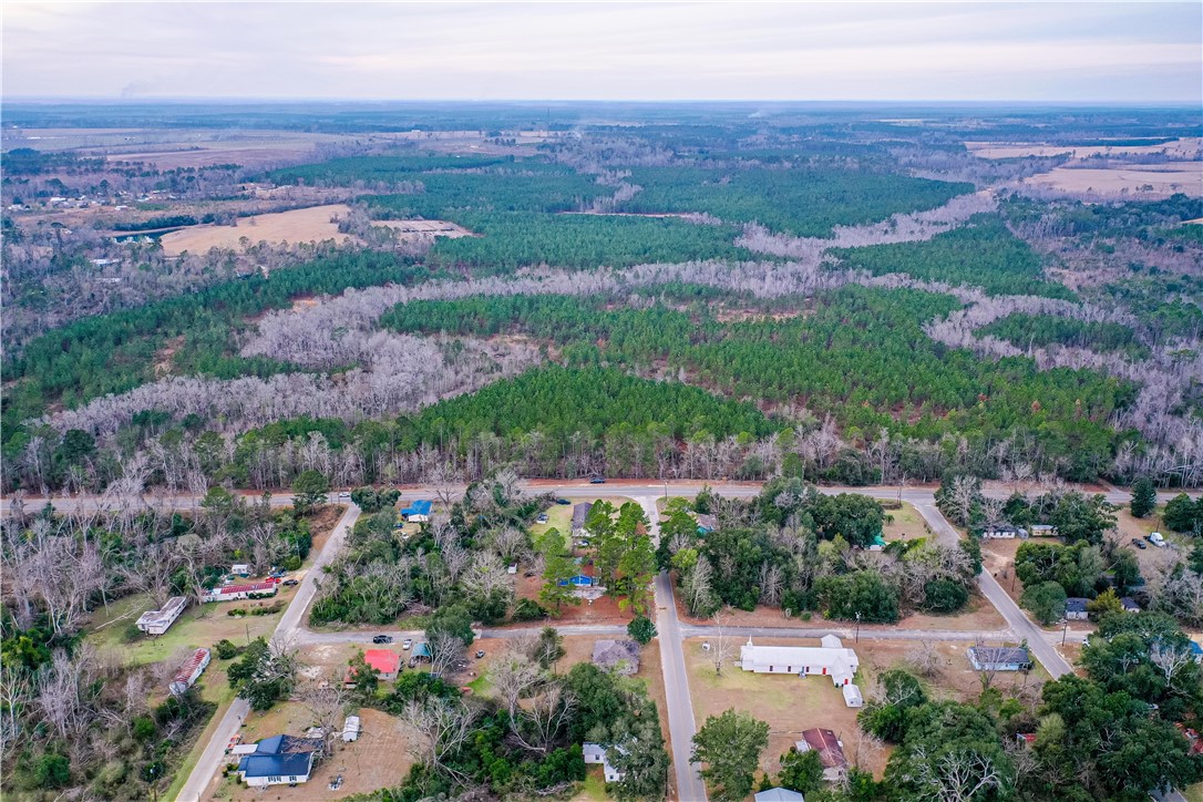 0 Salem Road Mineral Bluff, GA 30559 - Photo 3 of 19