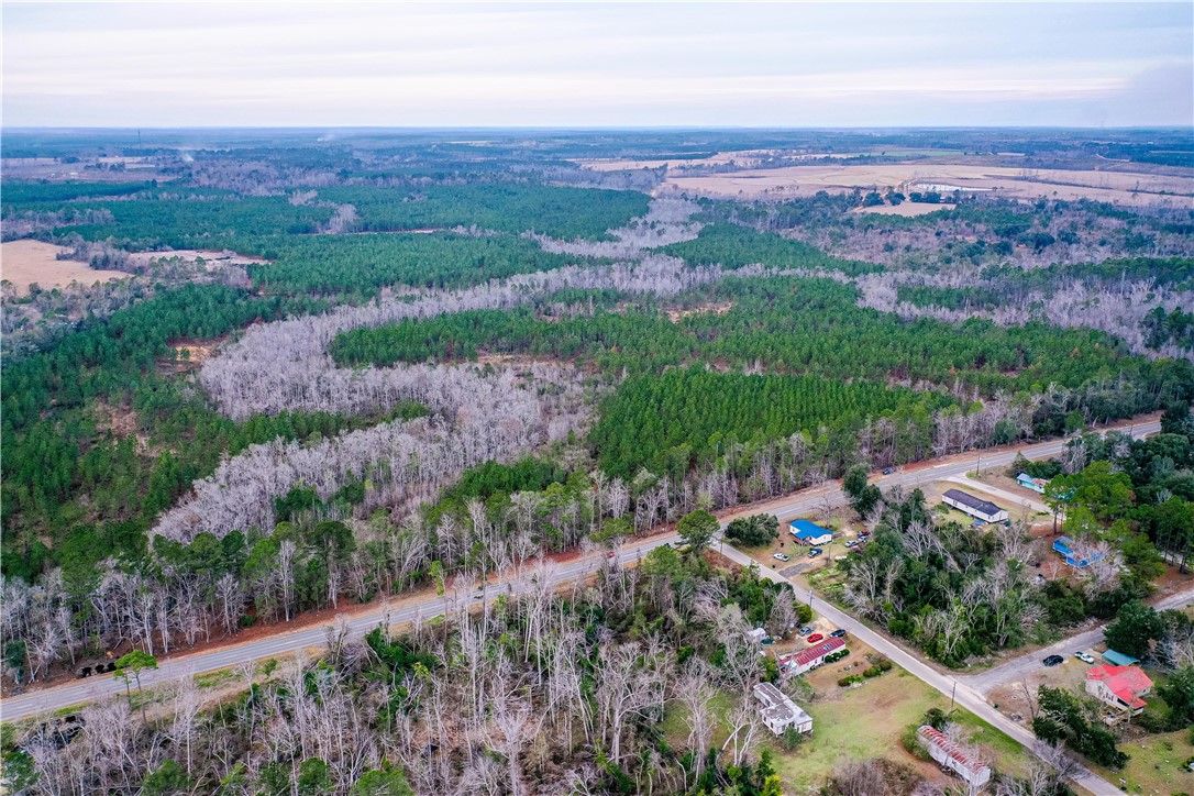 0 Salem Road Mineral Bluff, GA 30559 - Photo 4 of 19