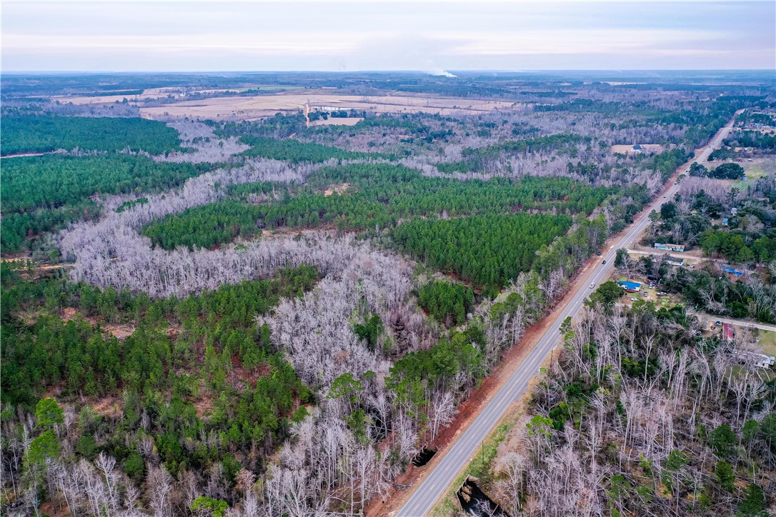 0 Salem Road Mineral Bluff, GA 30559 - Photo 5 of 19