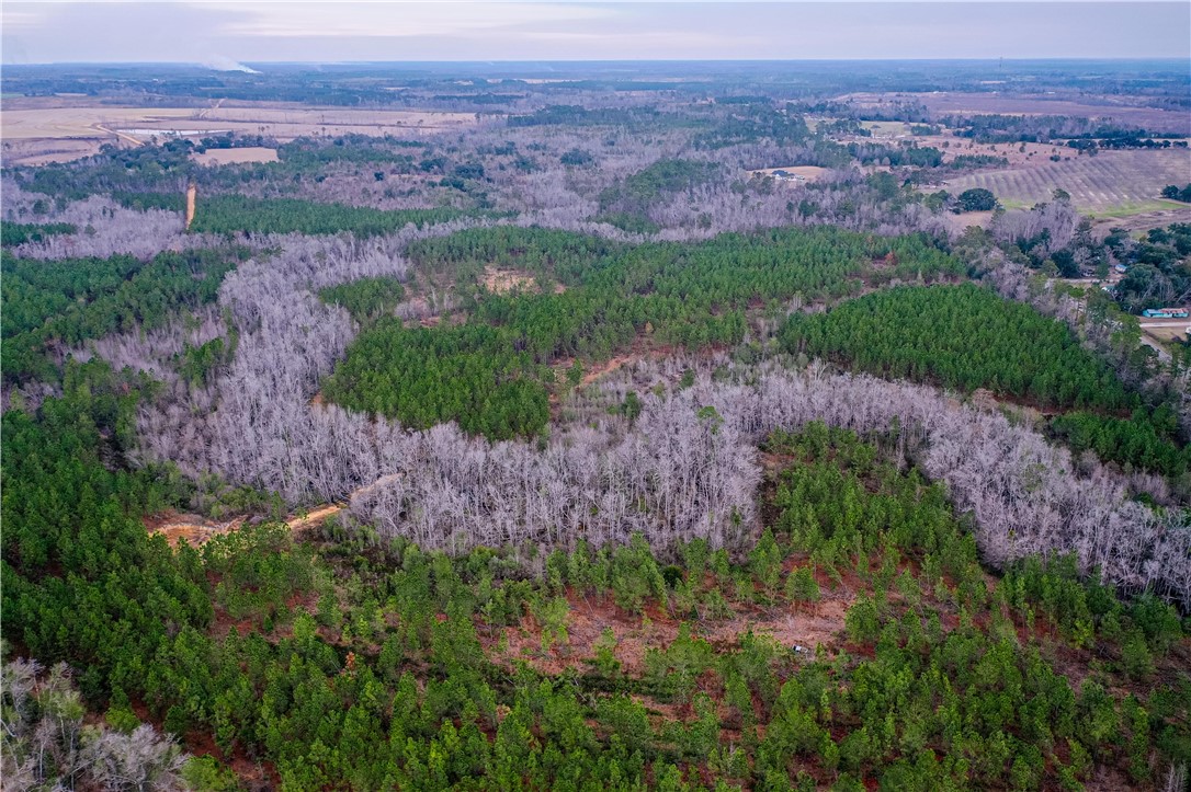 0 Salem Road Mineral Bluff, GA 30559 - Photo 6 of 19
