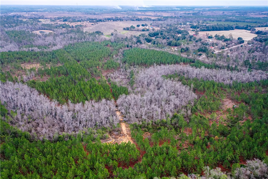 0 Salem Road Mineral Bluff, GA 30559 - Photo 7 of 19