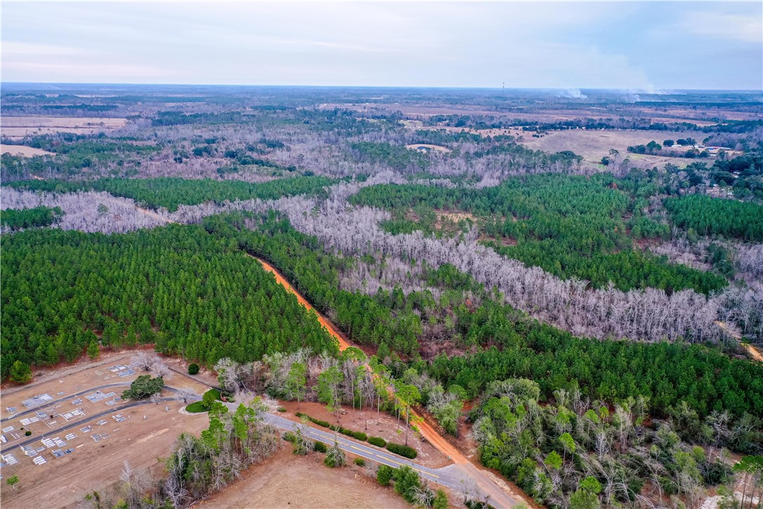 0 Salem Road Mineral Bluff, GA 30559 - Photo 8 of 19