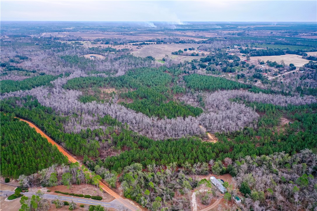 0 Salem Road Mineral Bluff, GA 30559 - Photo 9 of 19