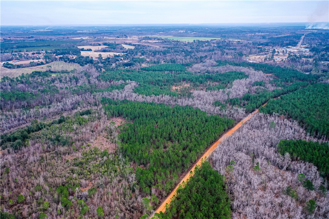 0 Salem Road Mineral Bluff, GA 30559 - Photo 10 of 19