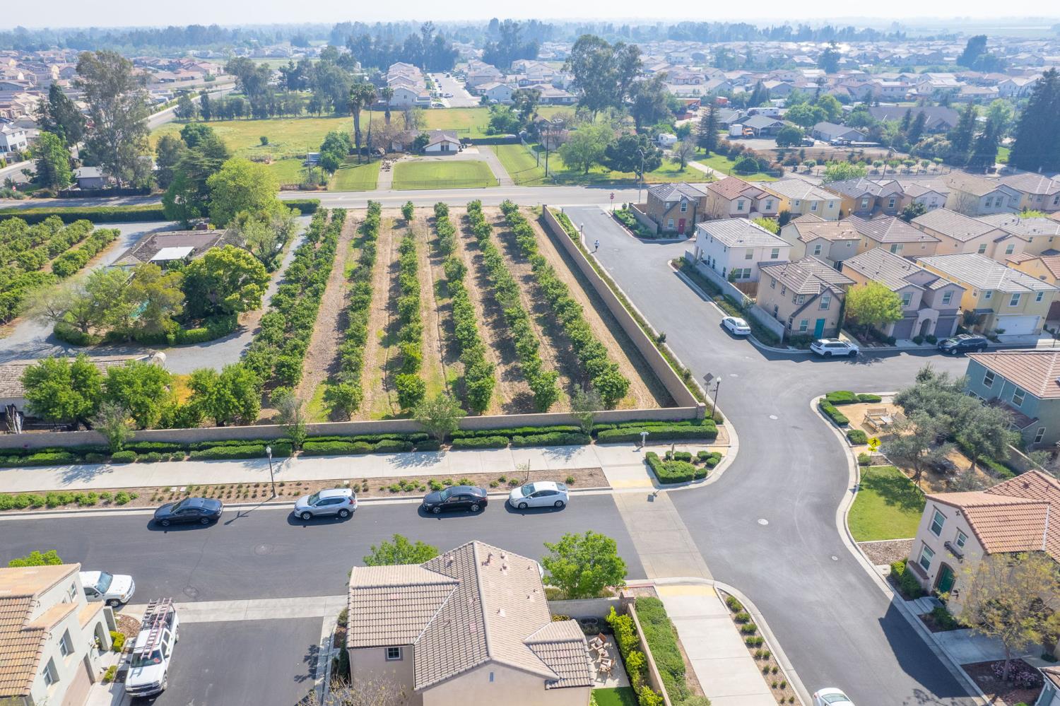 3752 Magnificent Way Clovis, CA 93619 - Photo 39 of 47