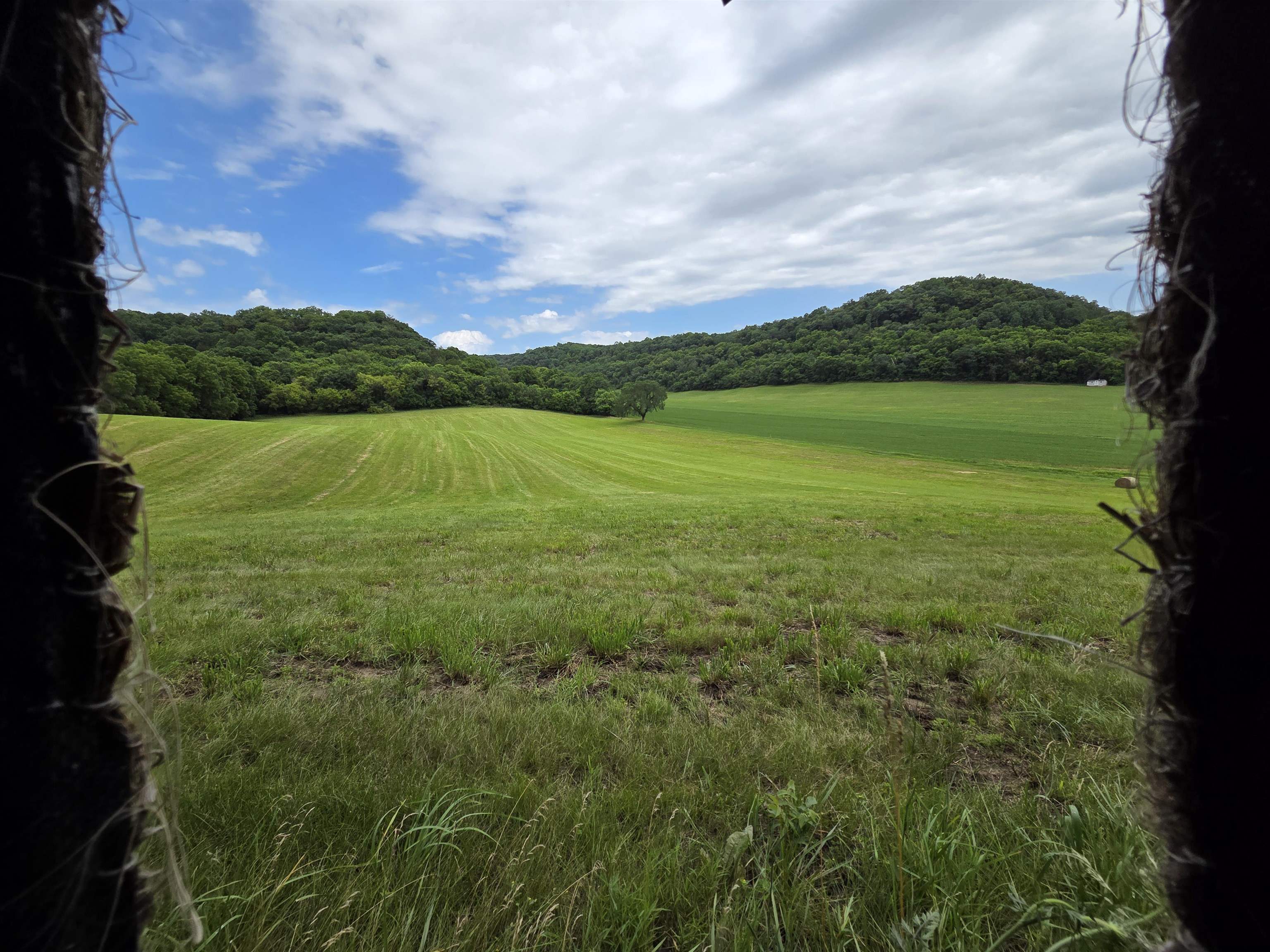 32747 State Highway Muscoda, WI 53573 - Photo 59 of 83