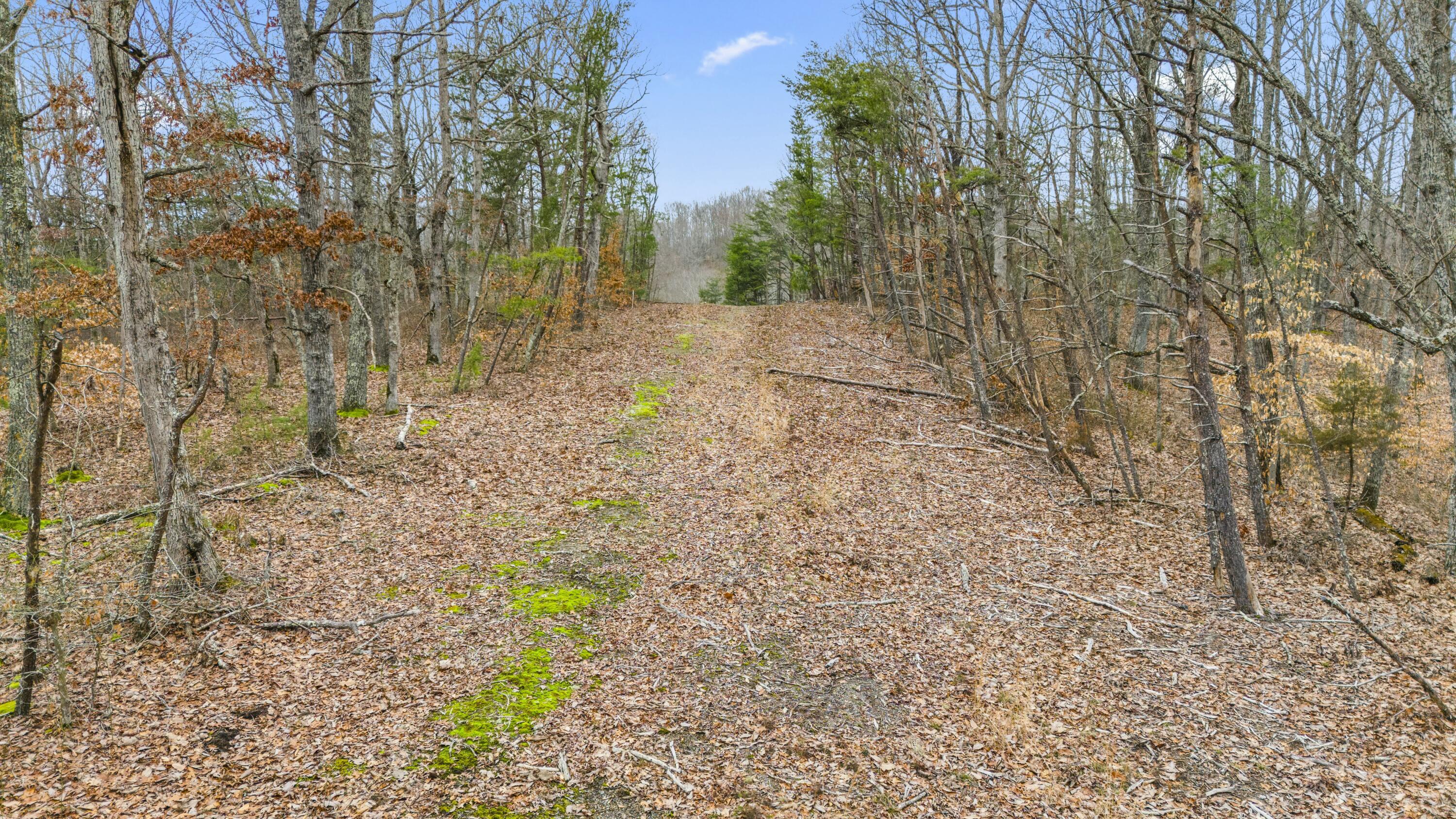 199 Midway Road Winchester, KY 40391 - Photo 5 of 15 tempImageIVIr2c