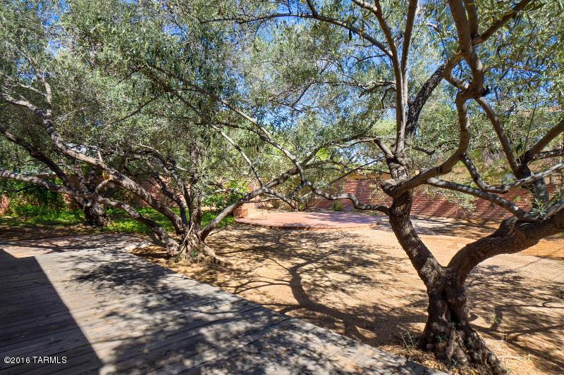 1133 East Hampton Street Tucson, AZ 85719 - Photo 8 of 25