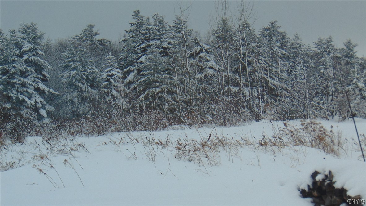 2134 State Rte 26 Boonville, NY 13309 - Photo 28 of 42 Gallery Image 28
