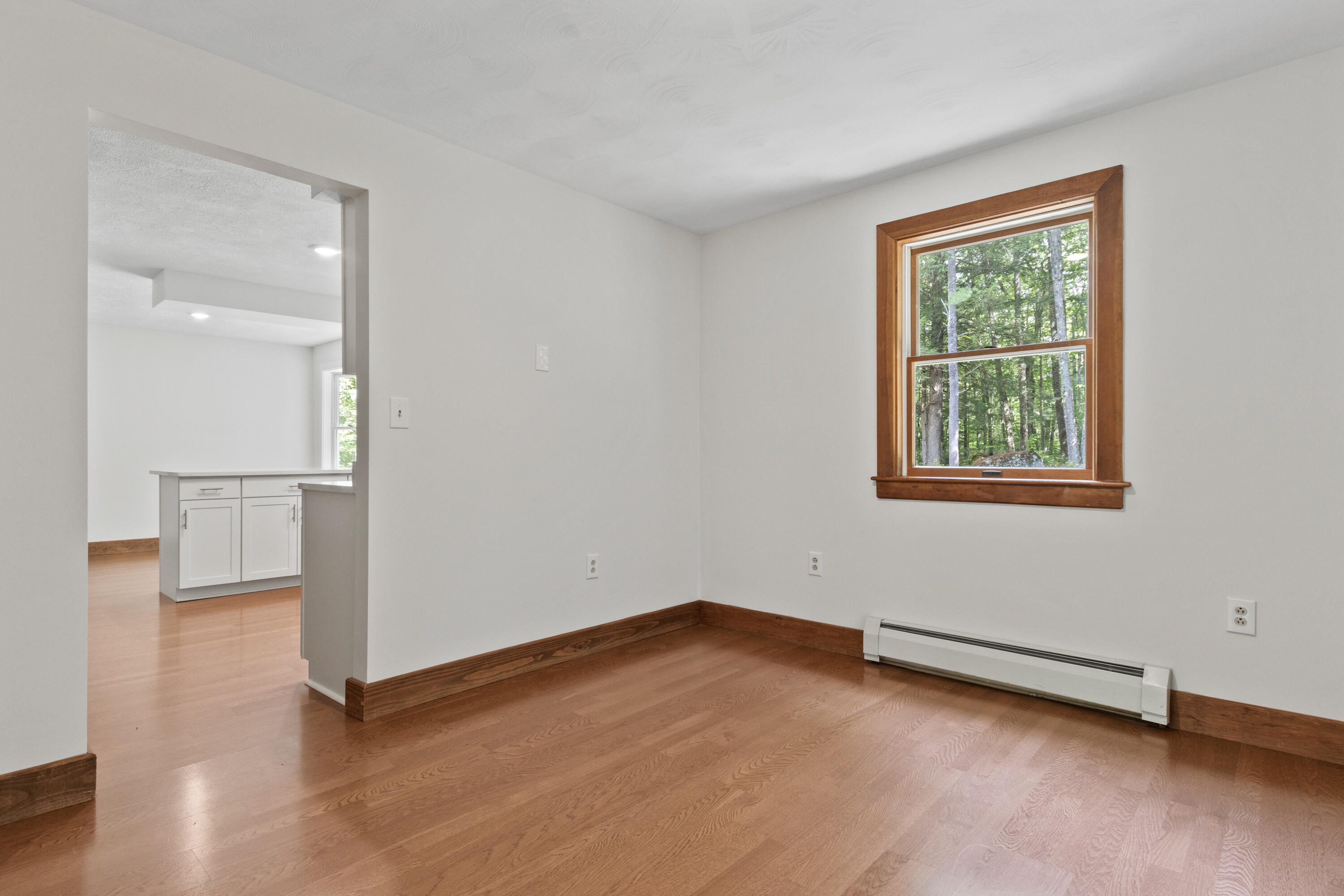 452 North Raymond Road Poland, ME 04274 - Photo 11 of 35 20250908PC-71027