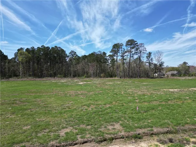 $58,500 | 24755 Lot A-5 442 Highway, Independence, LA 70443