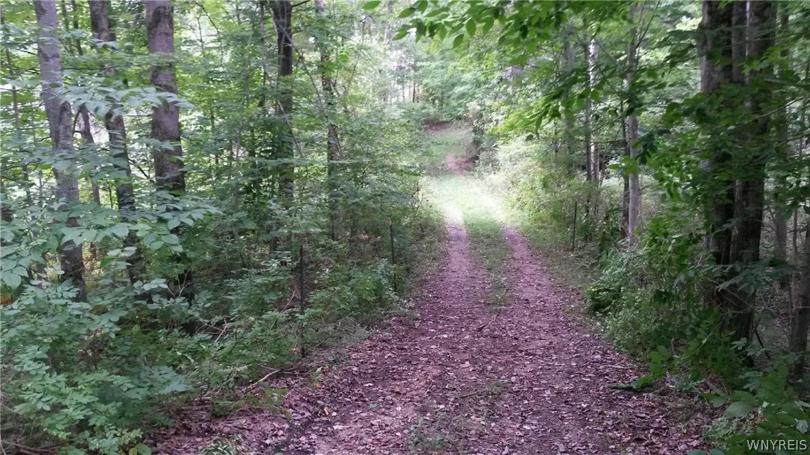 6729 Schwartz Road Ashford, NY 14141 - Photo 1 of 1 Gallery Image 1