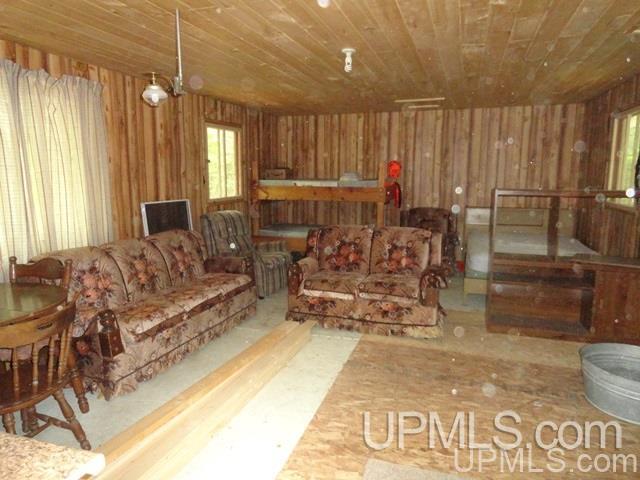 26701 East Ford Road Watton, MI 49970 - Photo 7 of 10