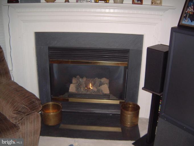 2904 St Helen Circle Silver Spring, MD 20906 - Photo 8 of 17 Corner gas fireplace in family room!