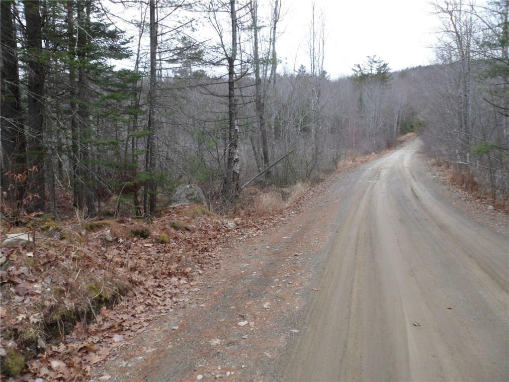 0 Carver Road East Monroe, ME 04951 - Photo 13 of 15 Town maintained road with only two...