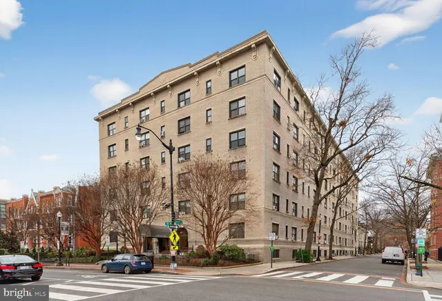 a view of a street with potted plants